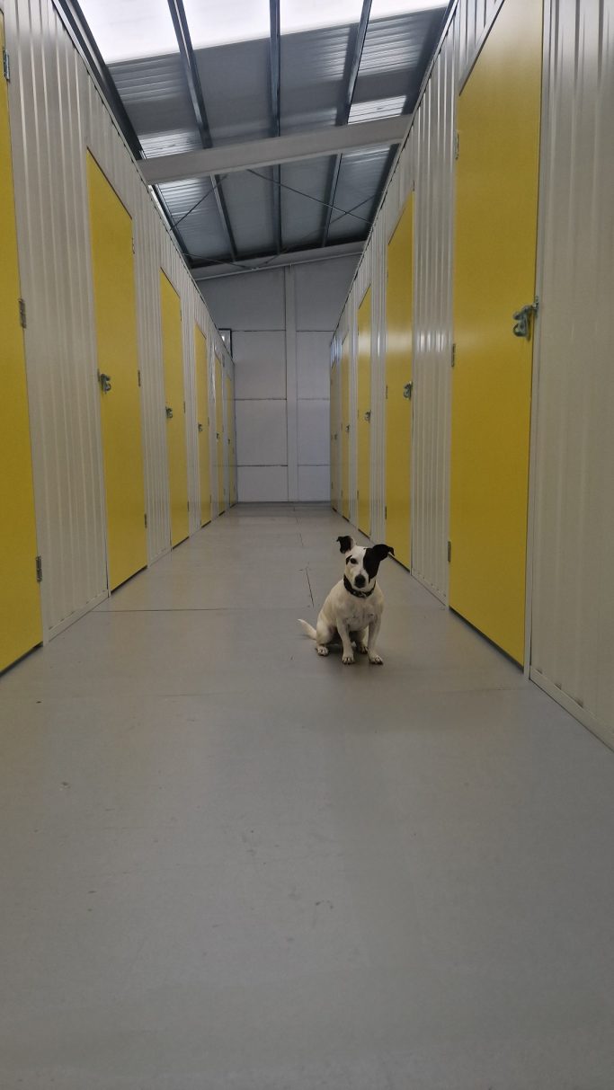 Self Storage with Security